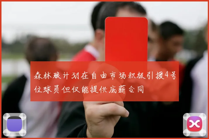 森林狼计划在自由市场积极引援4号位球员但仅能提供底薪合同